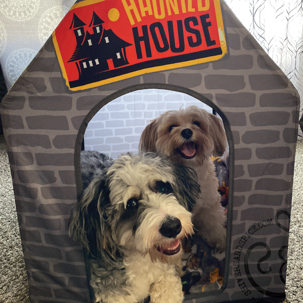 A Virtual Tip Jar Dexter and Murphy s Haunted House Snack Fund